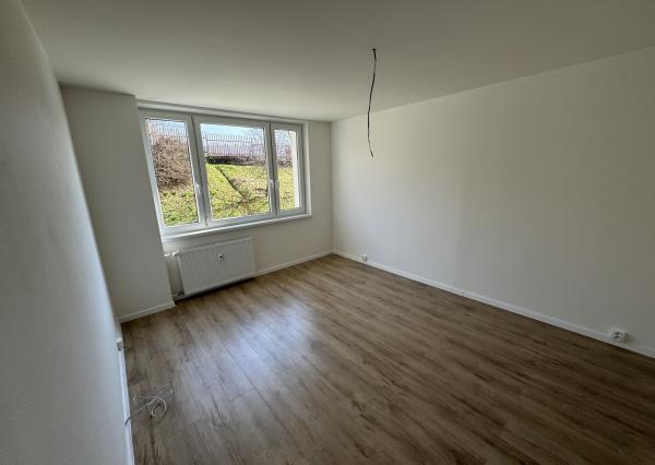 NOVOREKONŠTRUOVANÝ 3-izb.byt, Bielocerkevská ul.,