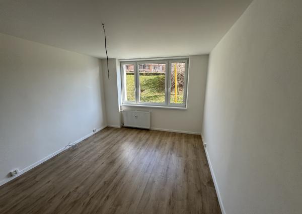 NOVÁ MODERNÁ REKONŠTRUKCIA, 3-izb.byt, Bielocerkevská ul.,