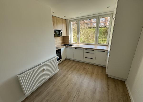 NOVÁ MODERNÁ REKONŠTRUKCIA, 3-izb.byt, Bielocerkevská ul.,