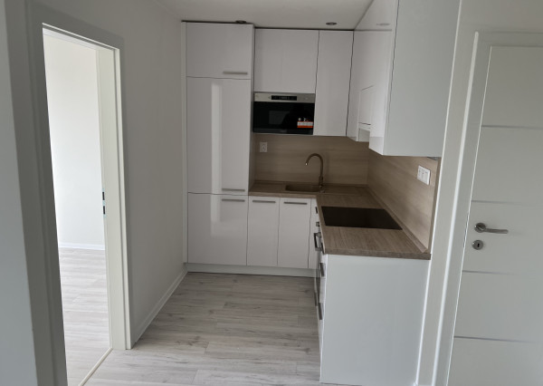 **NOVINKA** sídlisko Nad Jazerom, Družicová, NOVOREKONŠTRUOVANÝ 2-izb.byt,